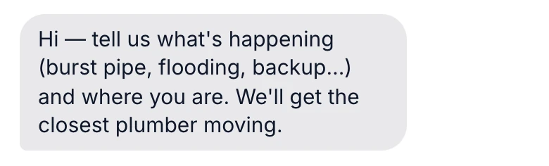The site's chat, opened from the first screen: Hi — tell us what's happening (burst pipe, flooding, backup…) and where you are